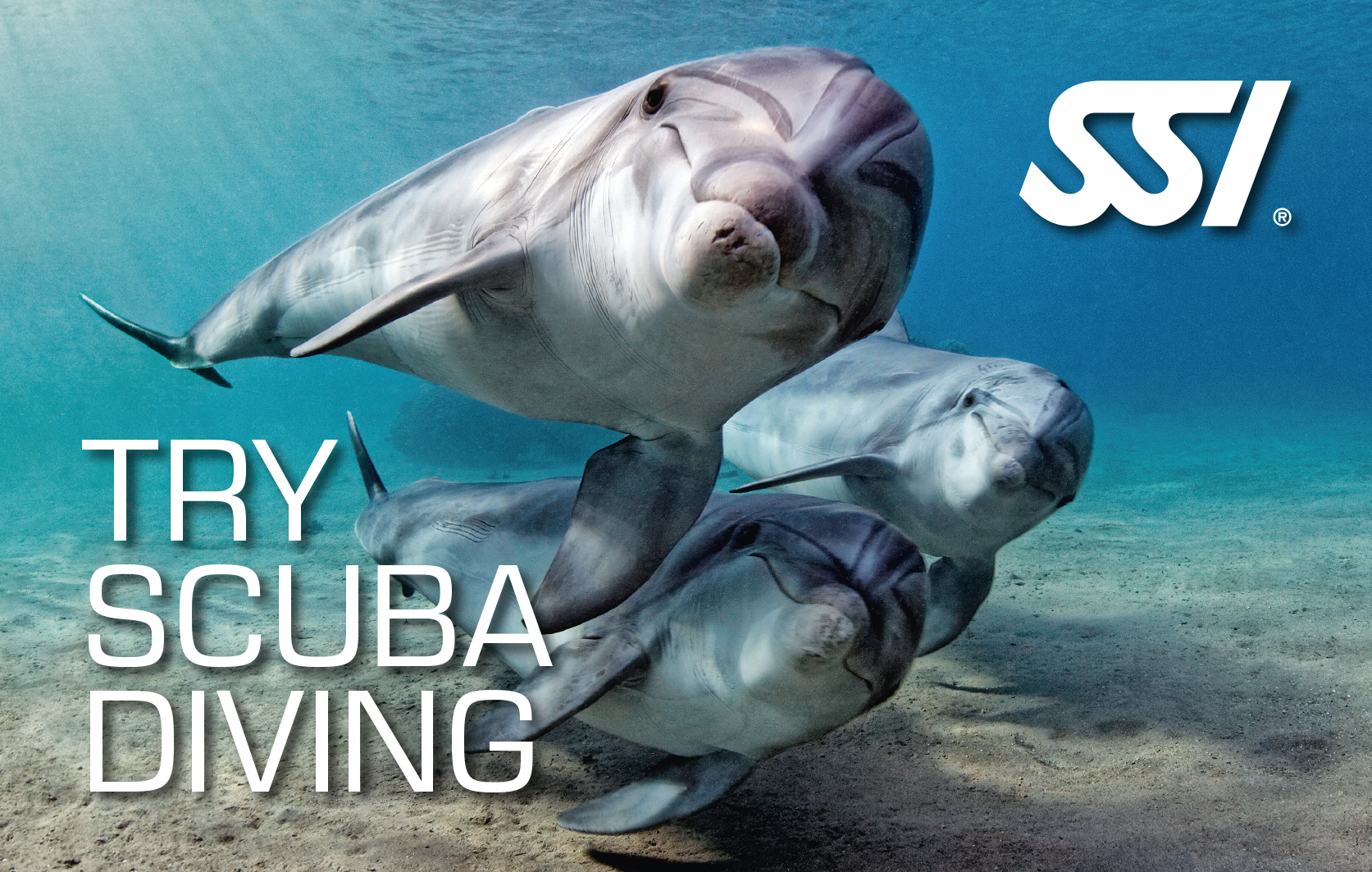 Try scuba diving